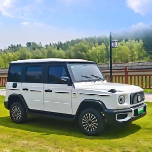 New Energy Fully Enclosed Low Speed EV High Quality Commuter Car LED Headlight Safety Brake System 101-200km Range 110kWh