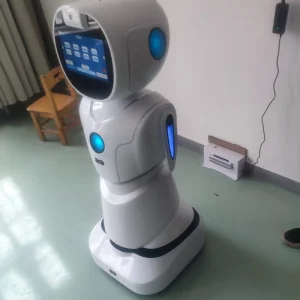 Customized Selling Educational Stem Coding Lessons Interactive Games Humanoid Service Robot