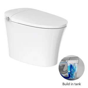 Ta-X562df Tejjer Luxury Electric Auto Flush Auto Open One Piece Ceramic Wc Intelligent Smart Bidet Toilet