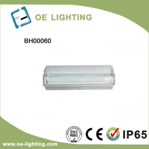 4.5W LED Emergency Light