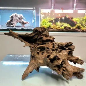 Natural Aquarium Driftwood Assorted Branches Reptile Ornament for Fish Tank Decoration Pack of 3