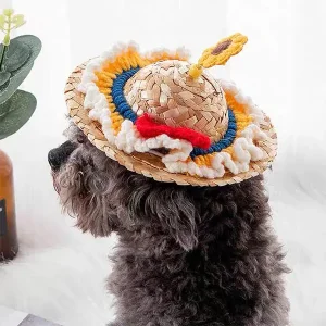 Customizable Straw Pet Hats