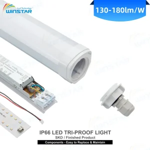 IP66 LED Tri-Proof Light Warehouse Factory Colombia