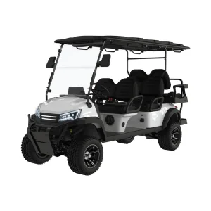 ODM Electric Golf Buggy