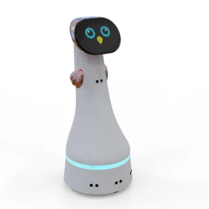 Interactive Robot Mali