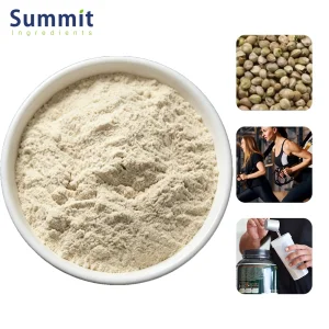 Bulk Supply Hemp Protein Powder 60% 70% Protein Plant Based Vegan Protein Non-GMO Natural Sports Nutrition Supplement Powder