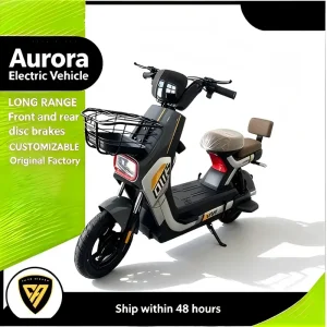 CE Lightweight E-bike