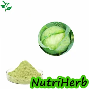 Polvo de basura vegetal seco Precio razonable Verde de basura Extarct Orgánico Polvo
