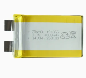 All Solid State Battery Pouch Cell