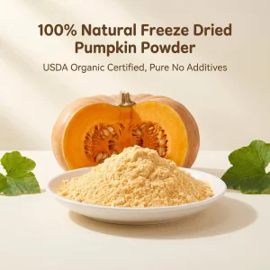 Organic Pumpkin Powder Freeze Dried