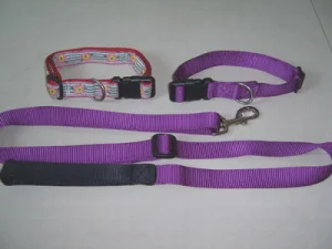 Pet Product