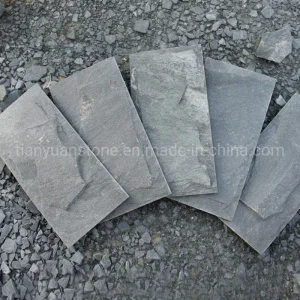 Slate Mushroom Stone