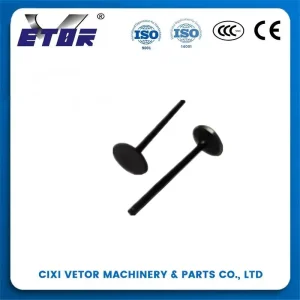 China GY6-125 motorcycle valve Manufacturers, Exporter