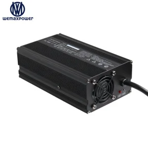 Wholesale 48V Electric Bike Charger