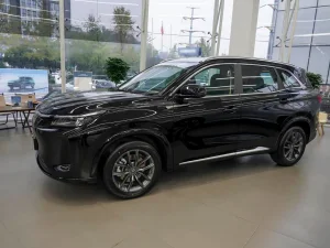 Youth-Friendly Landian E5 Plus