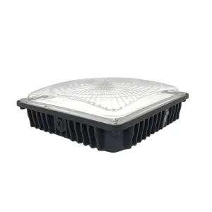 Canopy Light