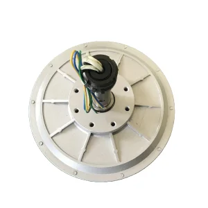 High Efficiey Low Speed 100W 12V 200RPM Coreless Permanent Magnet Alternator Generator Motor Use for Wind Turbine Water Turbine