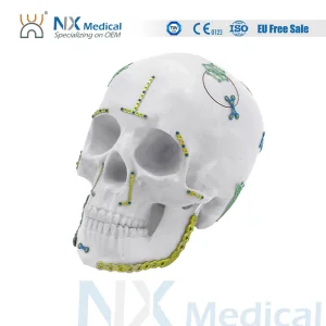 LCP Maxillofacial System Locking Plate Orthopedic Implants System for Surgical Implant Trauma Fixation