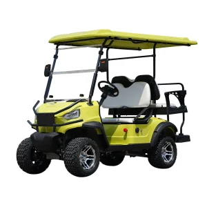 Mini Luxury CE-Certified Lithium Battery electric Car Custom Golf Cart