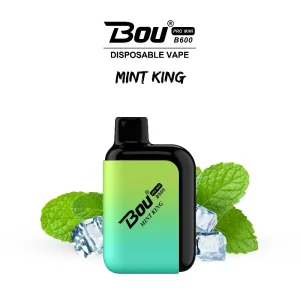 Custom BOU PRO MINI 600PUFFS: Shine On with Trendy Vaping Exporter, Exporters