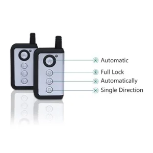 Automatic Door System