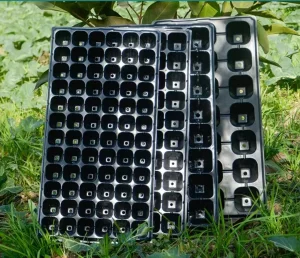 Anti-Corrosion Thickened Plastic Nursery Tray for Efficient Plant Propagation