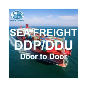 Sea Container Shipping Agent China to India DDP FCL Freight Forwarder