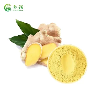 Dried Ginger Extract