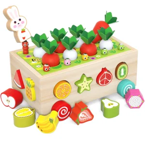 Montessori Carrot Harvest Game
