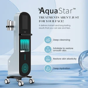 Aqua Star Beauty Equipment Microdermabrasion Massager Skin Ice Hammer OEM ODM 10 in 1 Hydra Oxygen Skin Care Facial Machine