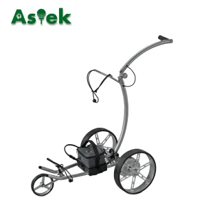 Used Aluminum Electric Custom Golf Carts for Sale