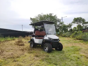 72V Carrinho de Golfe de Luxo