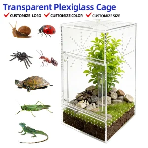 Transparent Plexiglass Cage Micro Ventilation