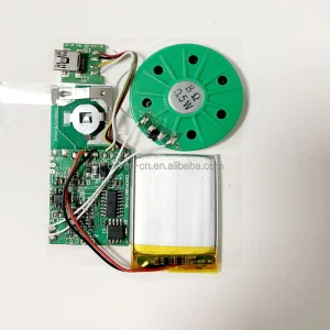 Interactive Sound Module with Speaker for Bulgarian Retail Projects