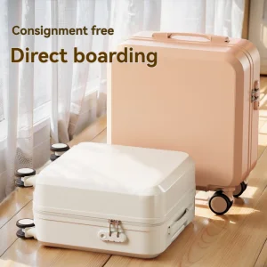 Cartoon Luggage