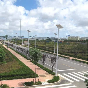 Post 6 Metros 30W Luz Solar