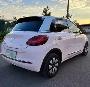 Wuling Bingo Coche de Uso Diario