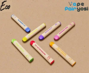 New Eco Friendly Paper Bar 600 Puffs