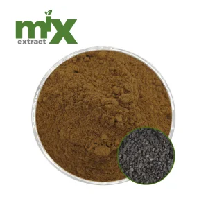 High Quality Chinese Chive Seed Extract