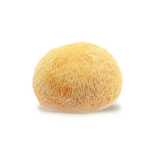 Organic Dried Lions Mane Sliced