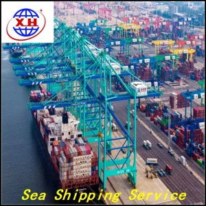 USA Canada Sea Agent