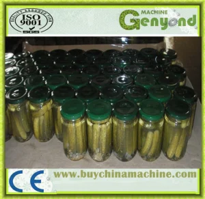 Full Auto Pickle Machine