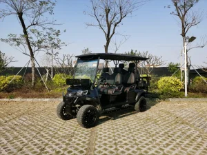 Lower Price High Quality Golf-Cart Utility Vehicle with Safety Features