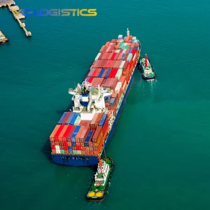 China To Sri Lanka Door To Door Shipping Agent