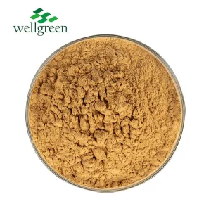 Yucca Extract