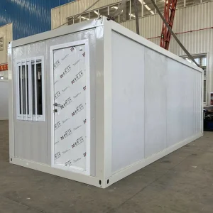 Smart Functional House