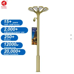 Customizable Polygonal Aluminum Smart Street Light Pole with EV Charger CCTV Digital Signage Adjustable Lighting Solutions