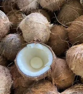 Leite de Coco Puro