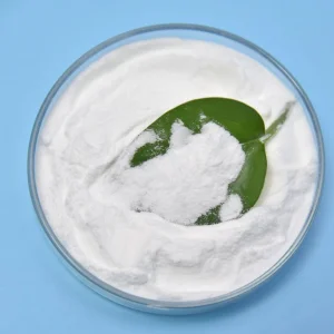Lactobacillus Gasseri Powder