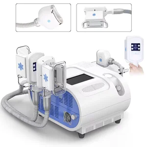 Cryolipolysis Slimming Machine/cryo Body Sculpting Machine/fat Freezing Machine Fat Freeze